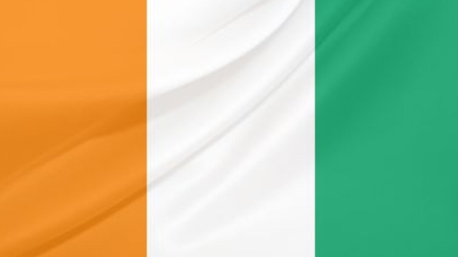 სპილოს ძვალი